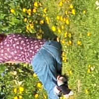 SatisfiedMum Avatar