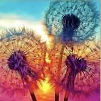 GreenEyes4U Avatar